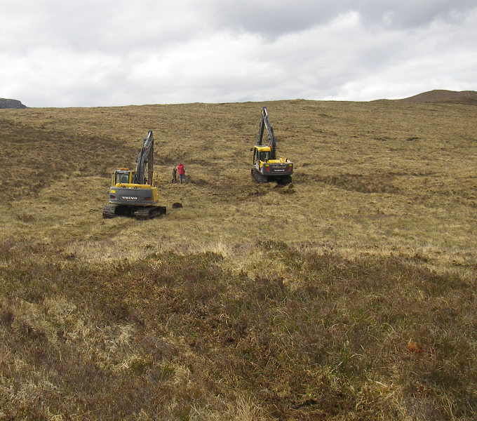 Tree replanting works